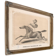Female Bareback Act By Circus Posters New