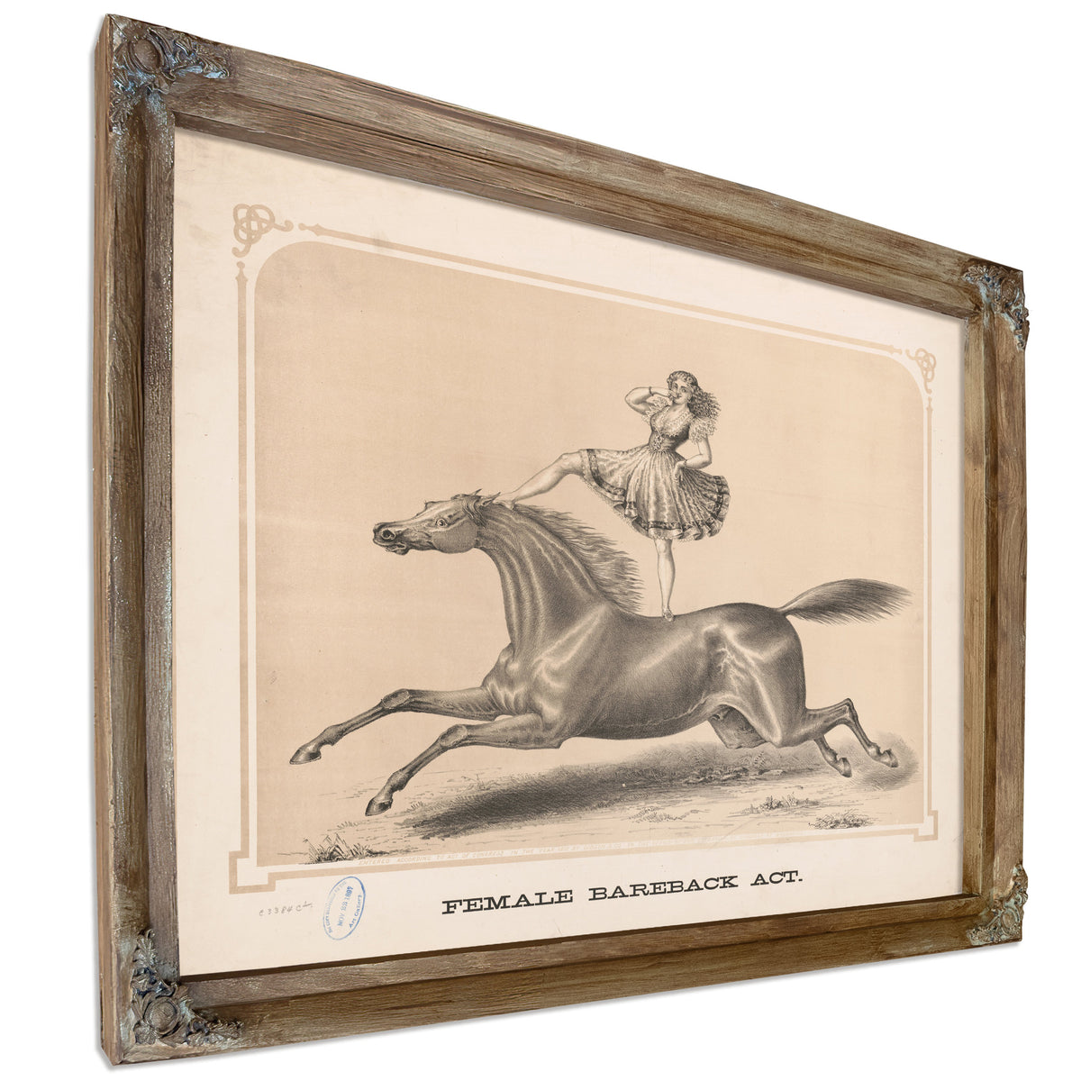 Female Bareback Act By Circus Posters New