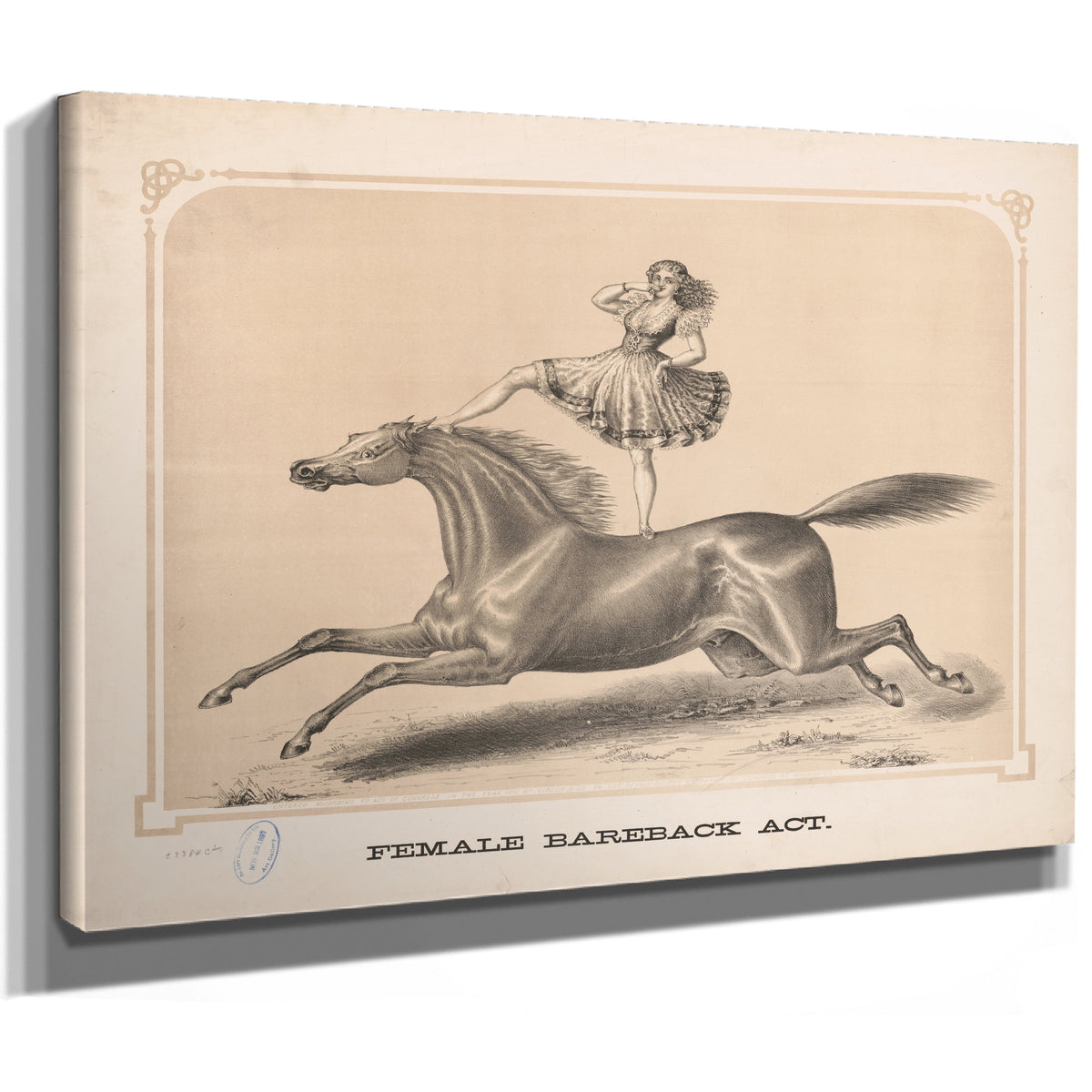 Female Bareback Act By Circus Posters New