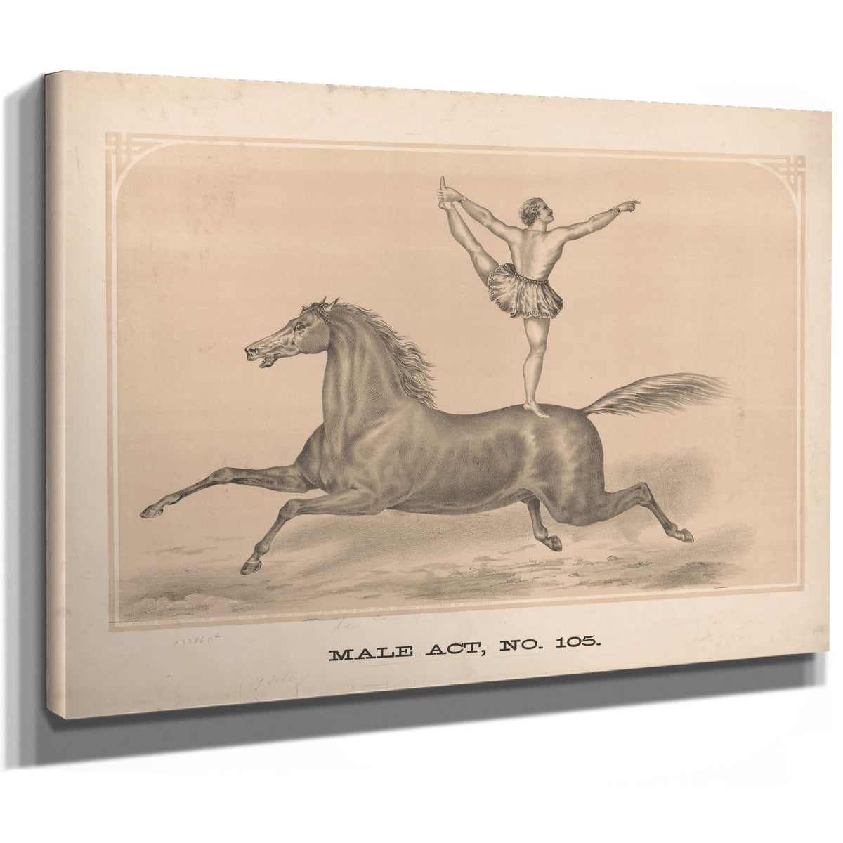 Male Act No 105 By Circus Posters New