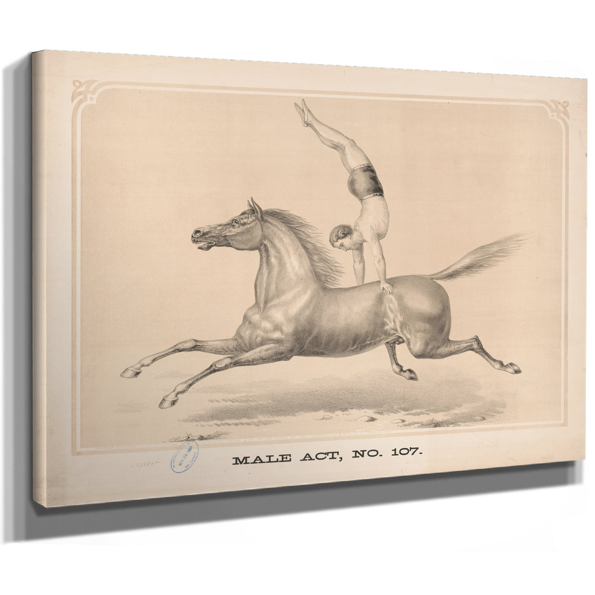 Male Act No 107 By Circus Posters New