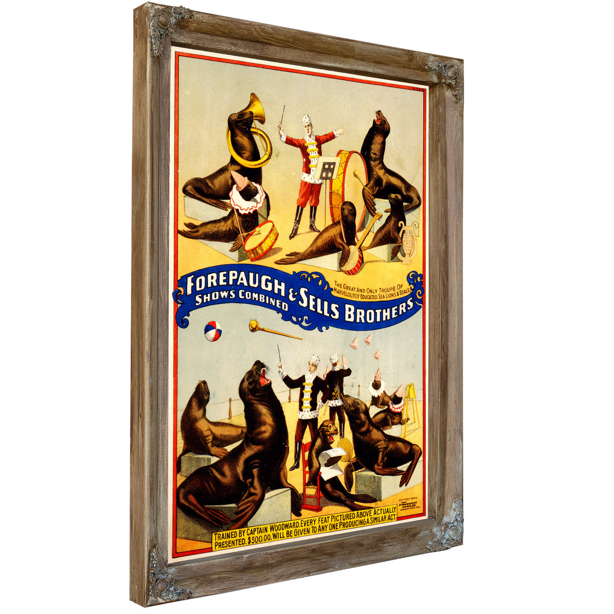 Marvelously Trained Sea Lions Seals By Vintage Circus Posters