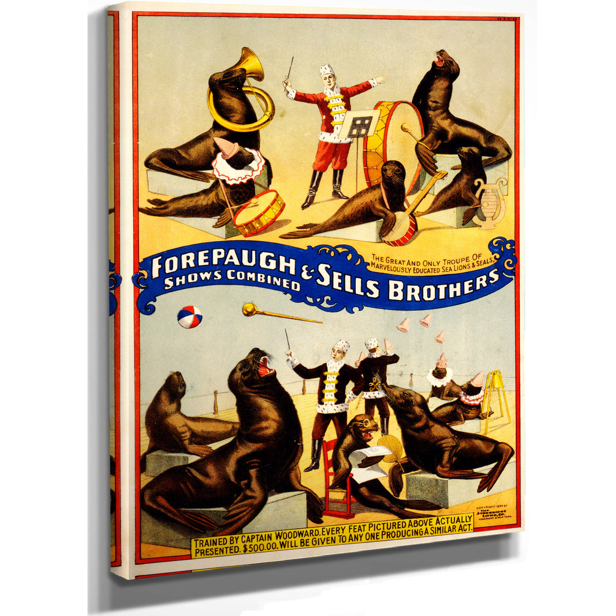 Marvelously Trained Sea Lions Seals By Vintage Circus Posters
