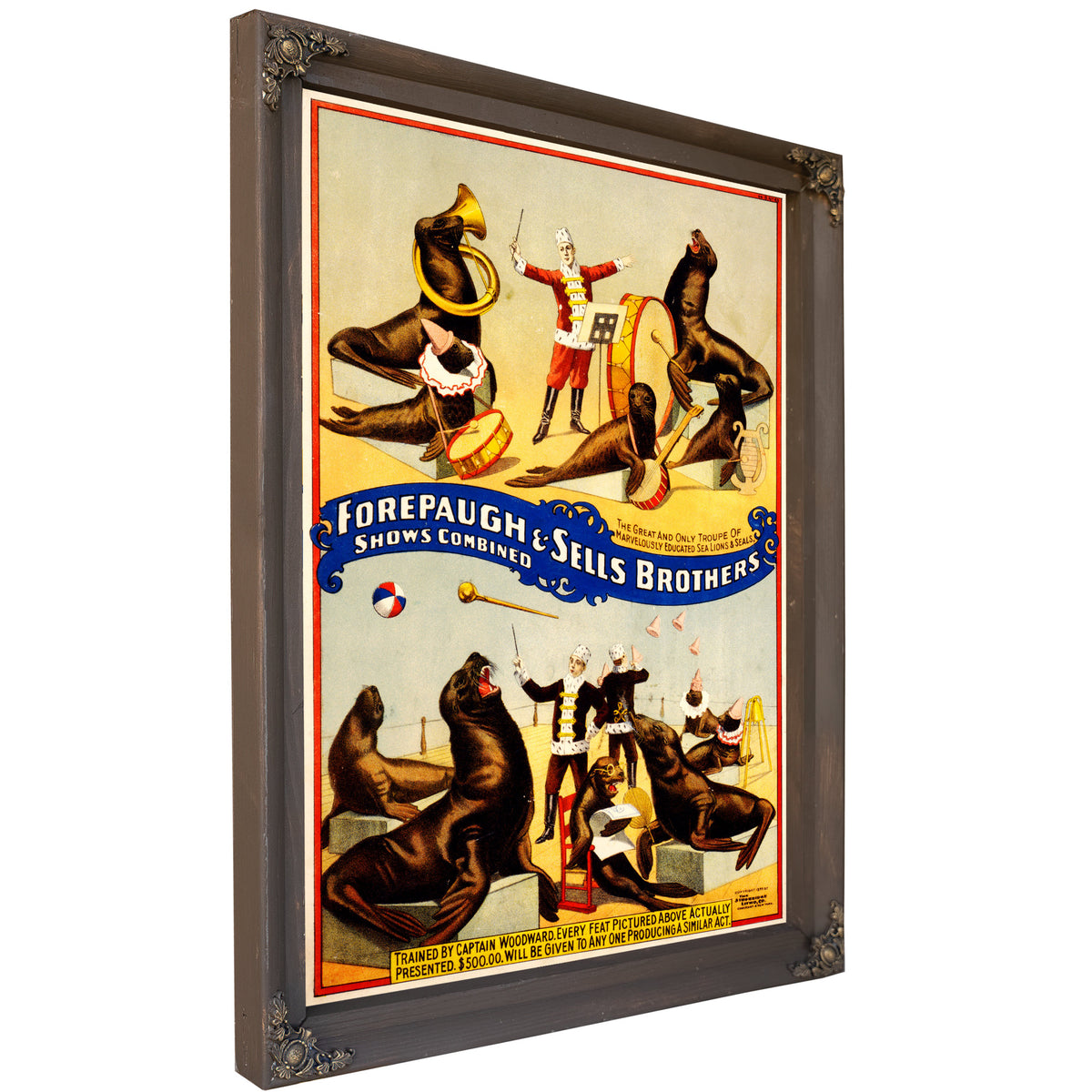 Marvelously Trained Sea Lions Seals By Vintage Circus Posters