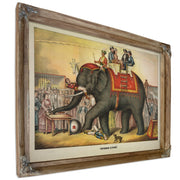 Performing Elephant By Circus Posters New