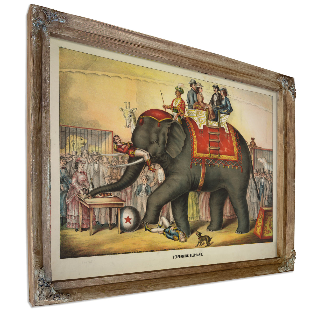 Performing Elephant By Circus Posters New