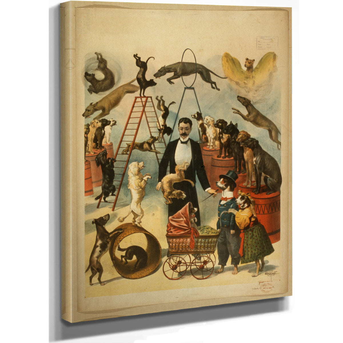 Trained Dog Act By Vintage Circus Posters