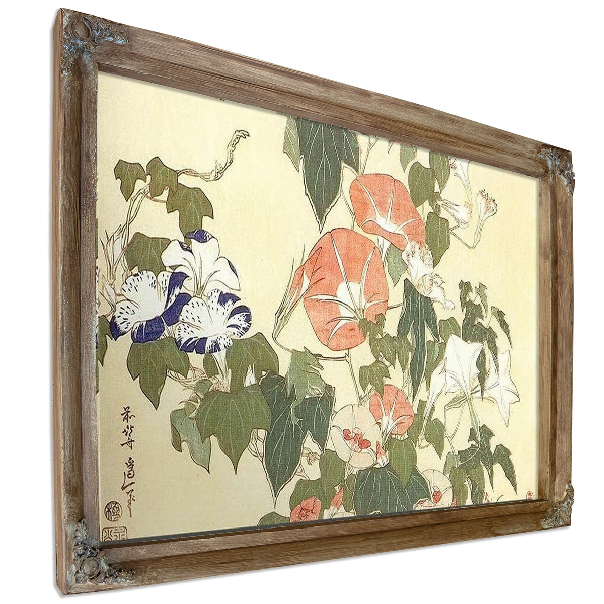 Convolvulus And Tree Frog By Hokusai