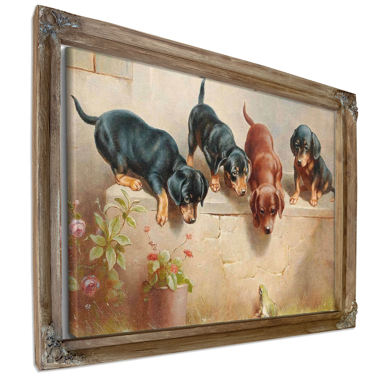Curious Dachshund Puppies And A Frog by Carl Reichert