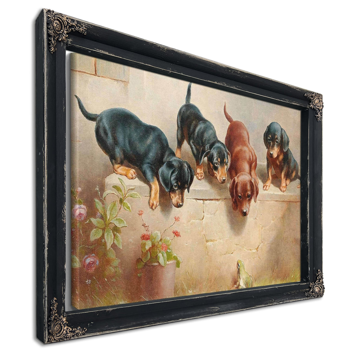 Curious Dachshund Puppies And A Frog by Carl Reichert