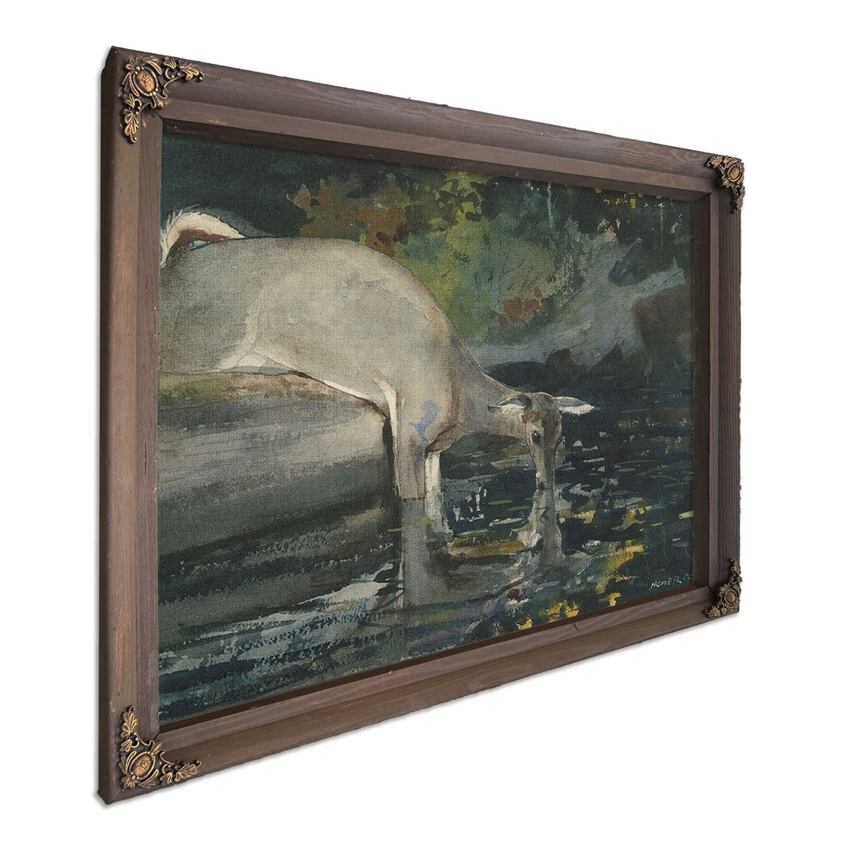 Deer Drinking By Winslow Homer