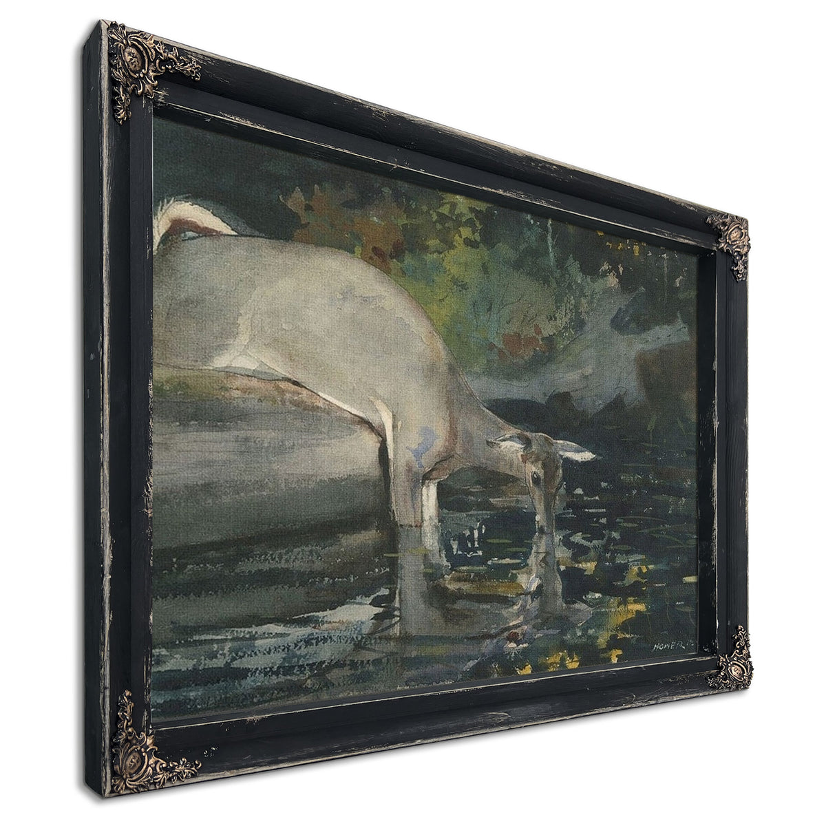 Deer Drinking By Winslow Homer