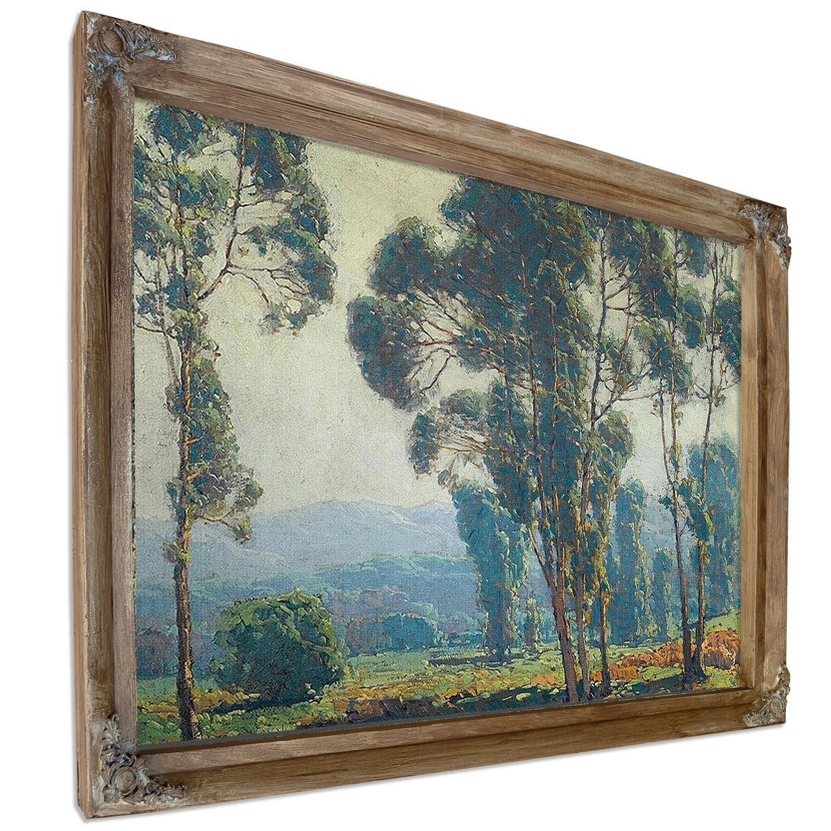 Eucalyptus By Edgar Payne