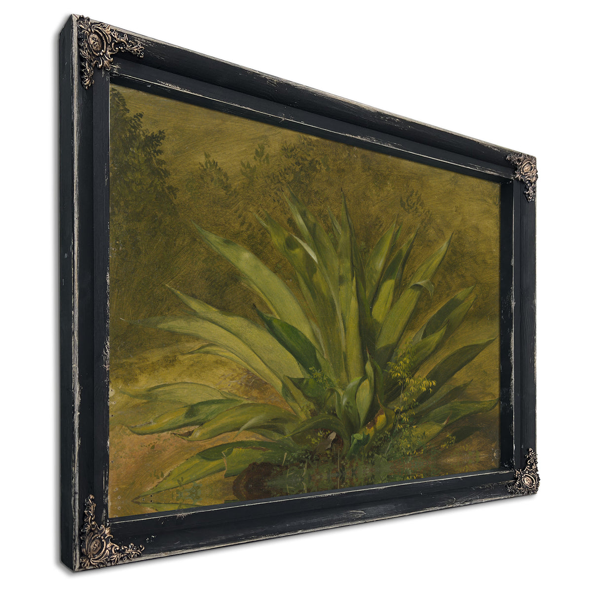 Botanical 05 By Frederic Edwin Church