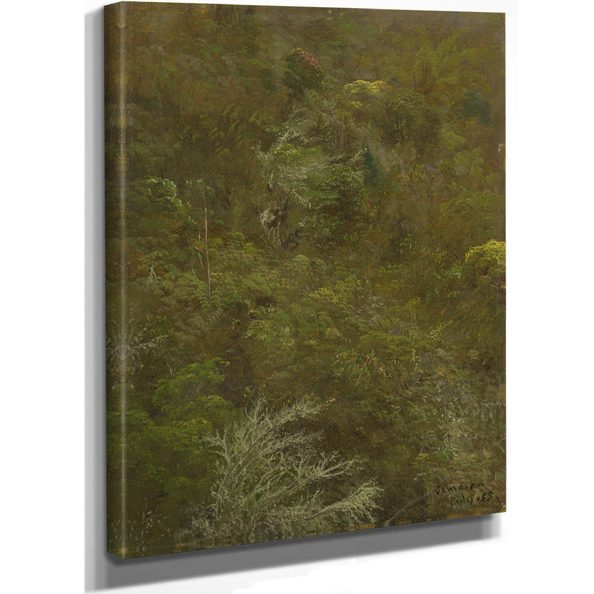 Hillside 03 By Frederic Edwin Church