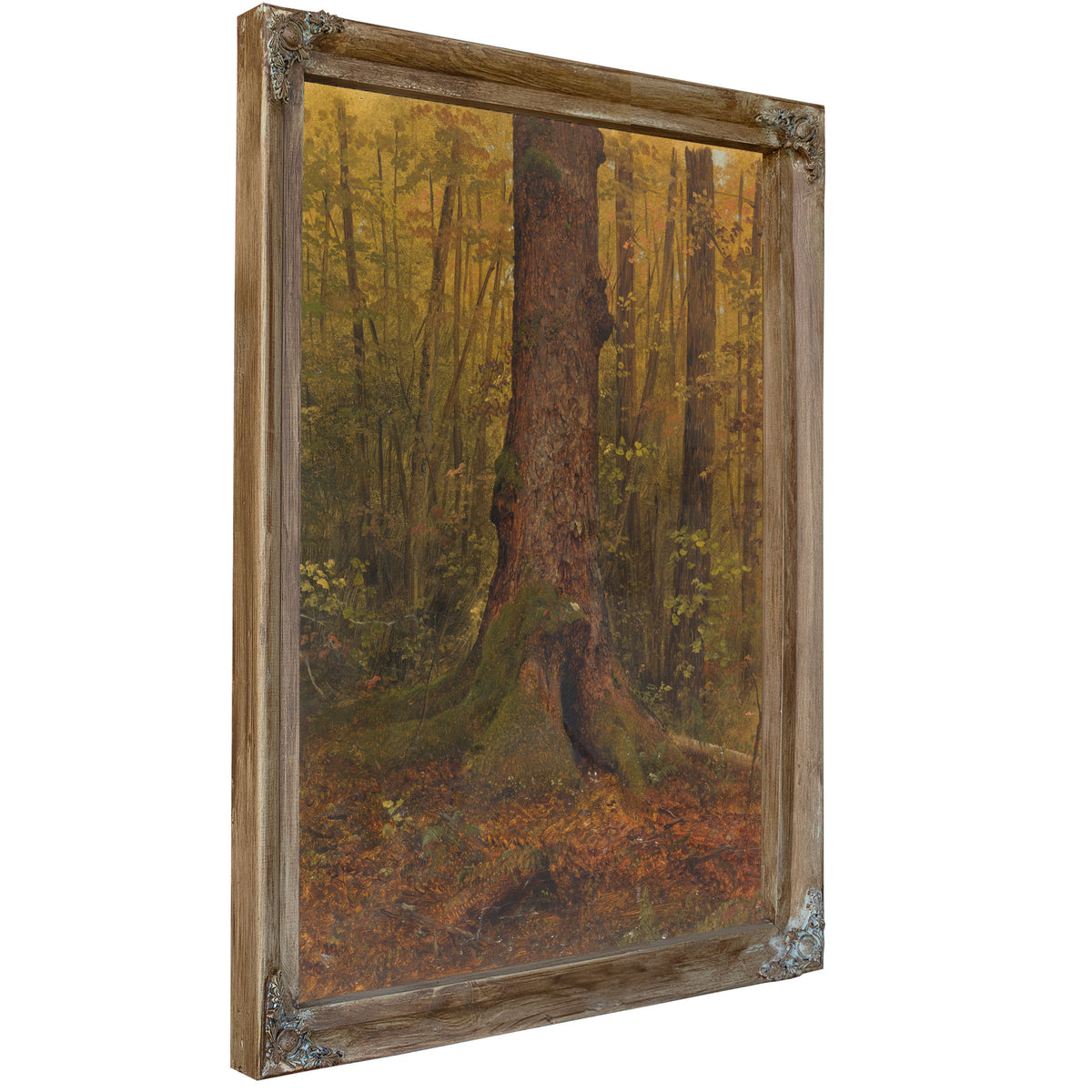 In Woods Probably Maine 185060 By Frederic Edwin Church