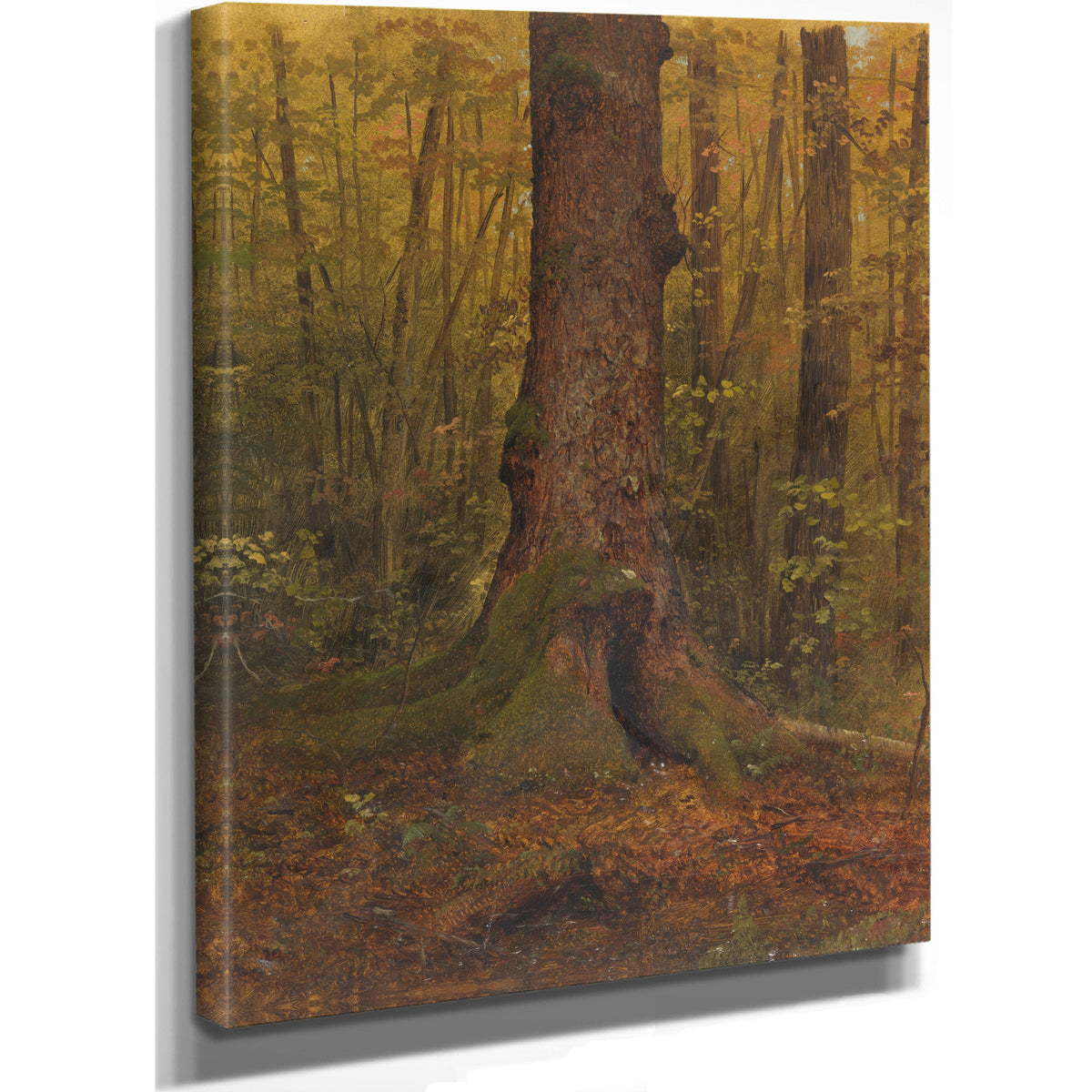 In Woods Probably Maine 185060 By Frederic Edwin Church