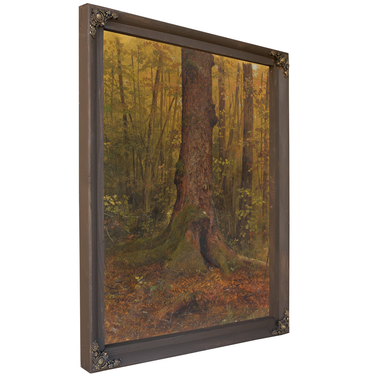 In Woods Probably Maine 185060 By Frederic Edwin Church