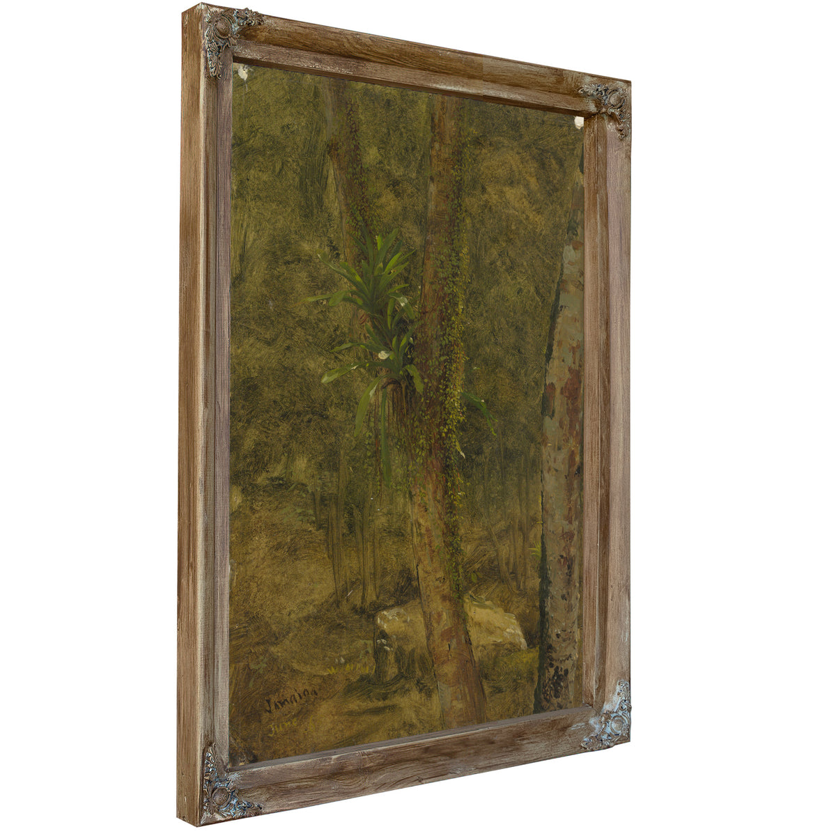 Jungle Scene June 1865 By Frederic Edwin Church
