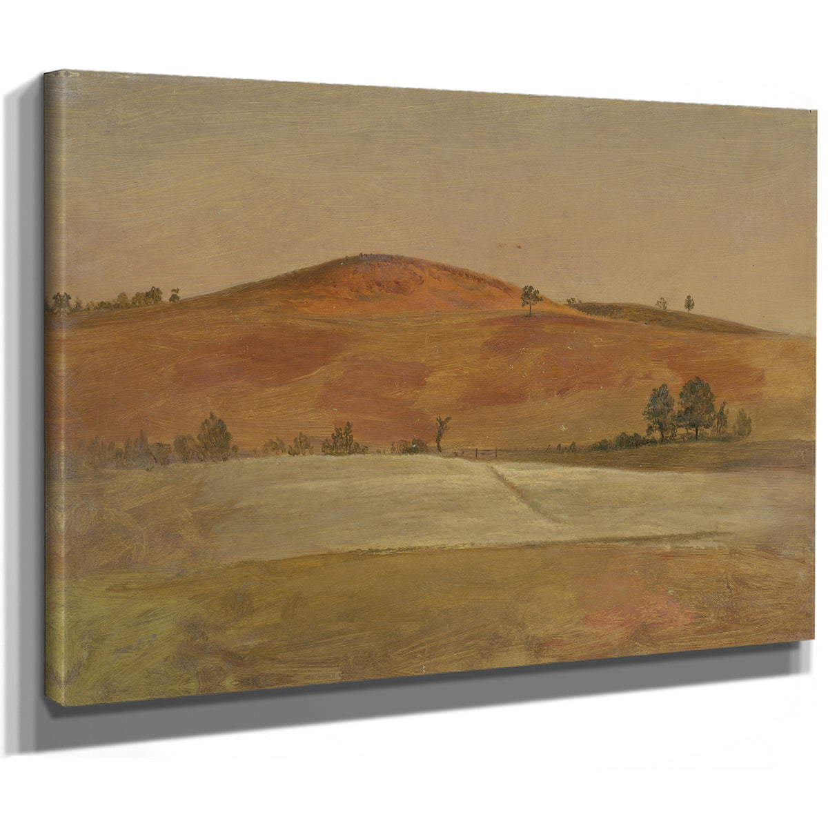 Landscape 23 By Frederic Edwin Church