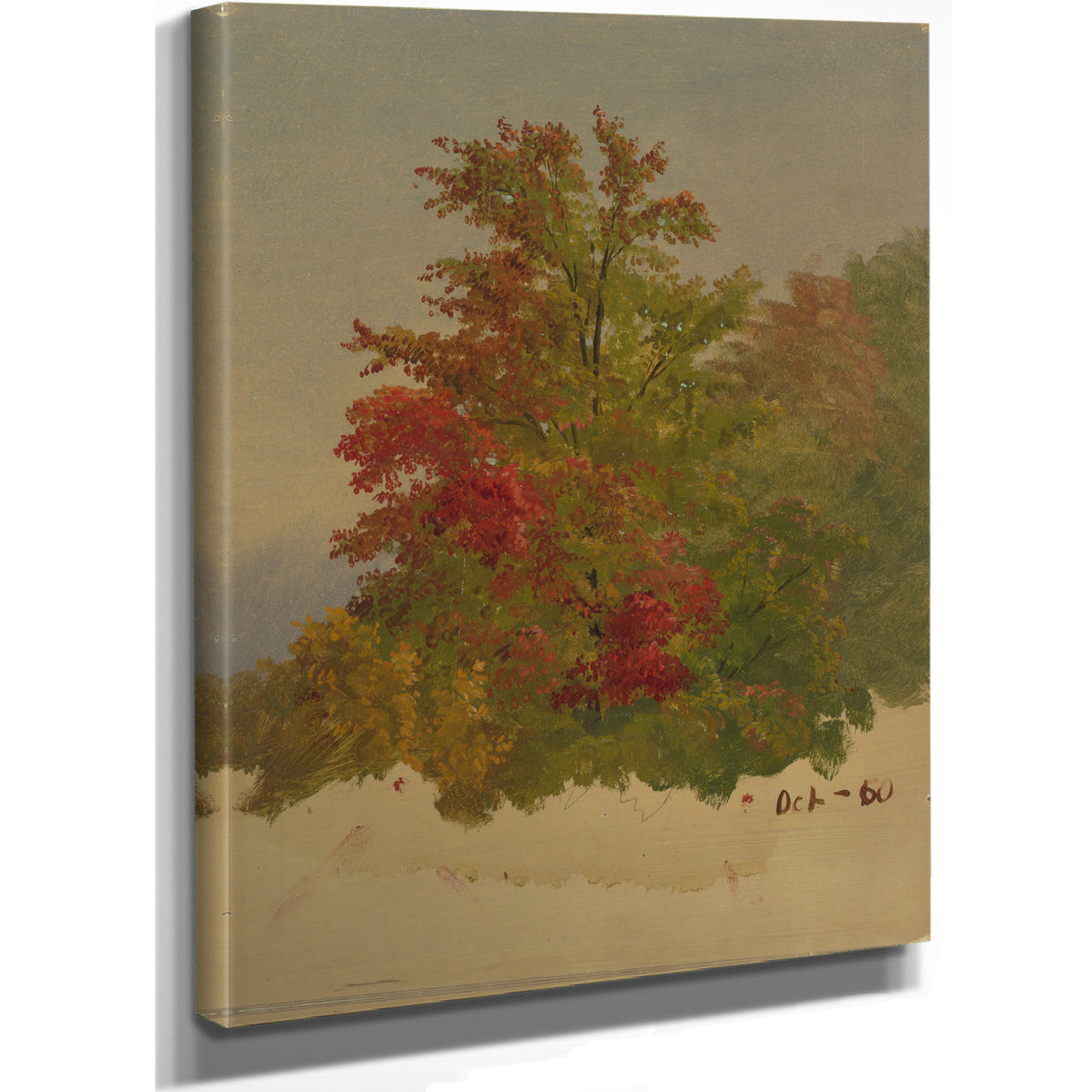 Mt 03 By Frederic Edwin Church