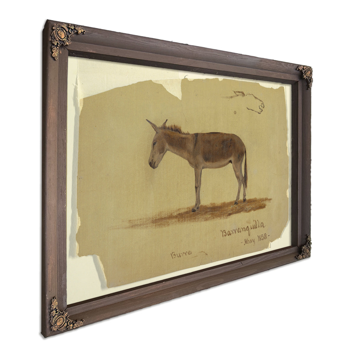 Original Files Donkey Baranquilla By Frederic Edwin Church