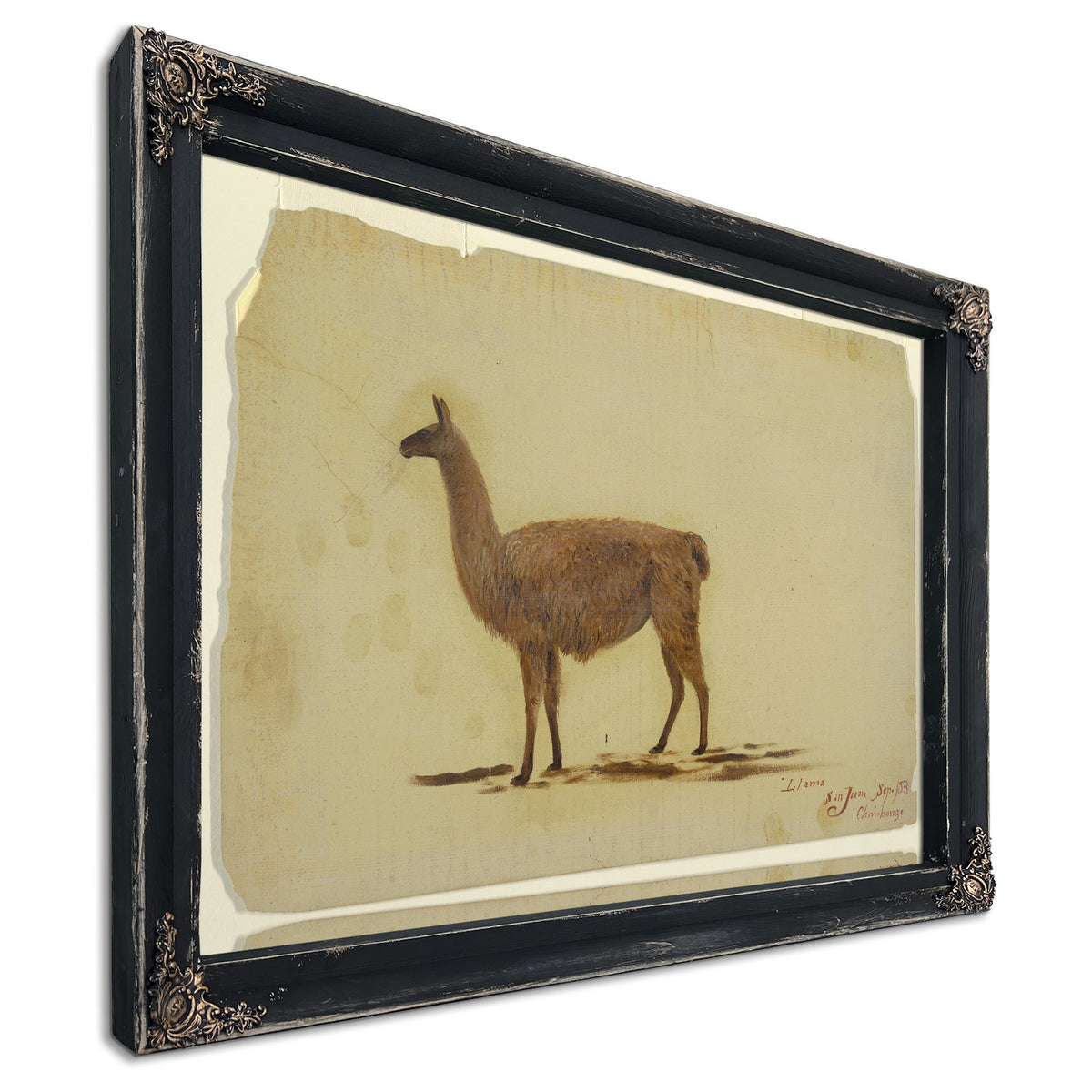 Original Files Ecuador San Juan By Frederic Edwin Church