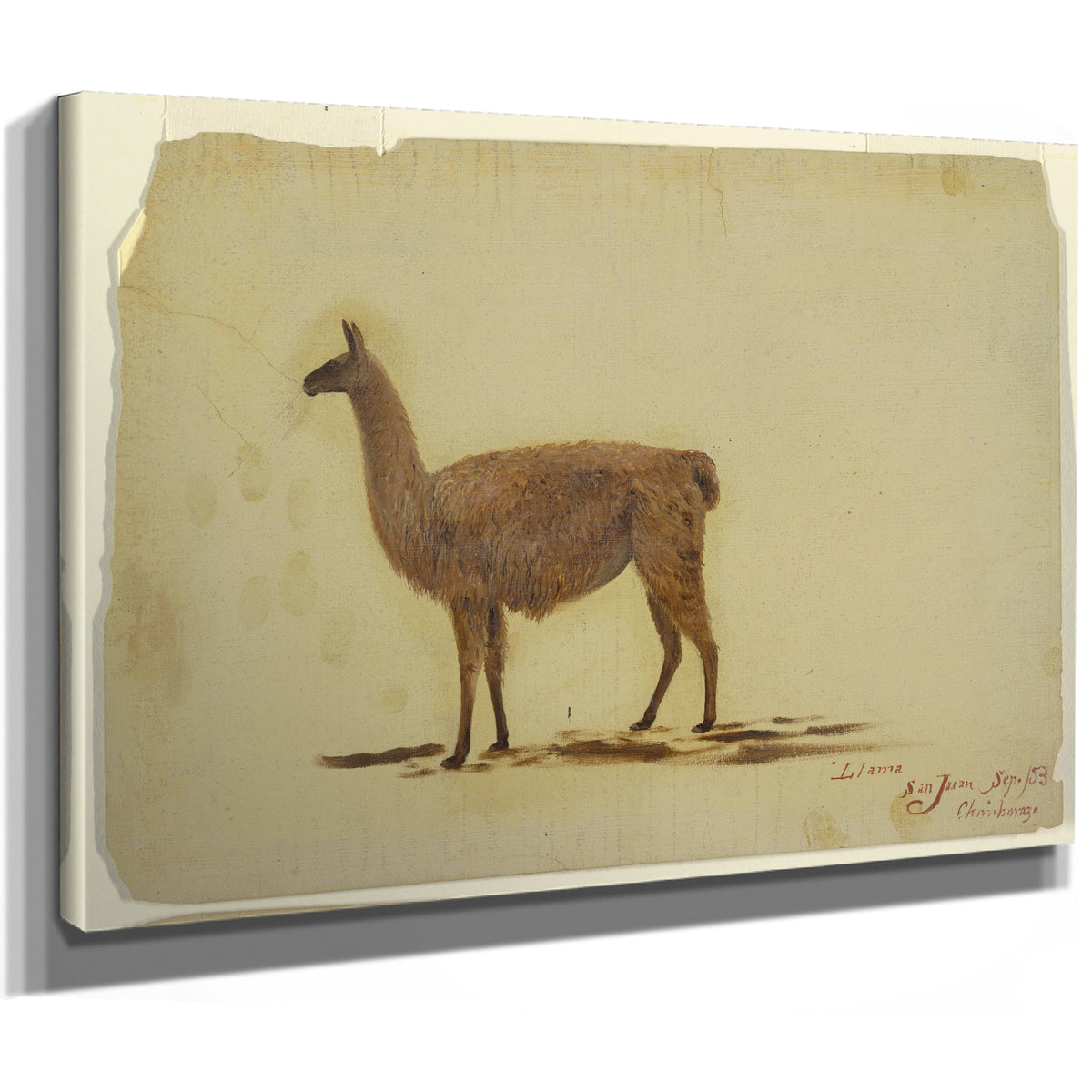 Original Files Ecuador San Juan By Frederic Edwin Church