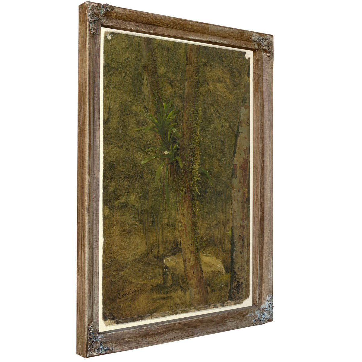 Original Files Jungle Scene June 1865 By Frederic Edwin Church