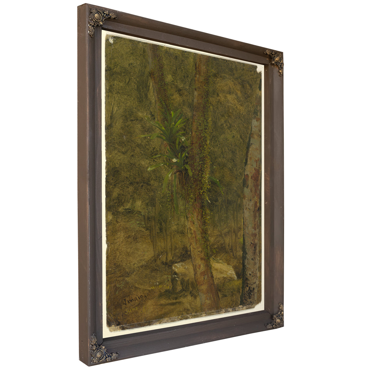 Original Files Jungle Scene June 1865 By Frederic Edwin Church