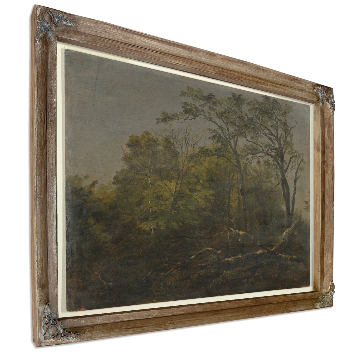 Original Files Maine Woods 1845co55 By Frederic Edwin Church