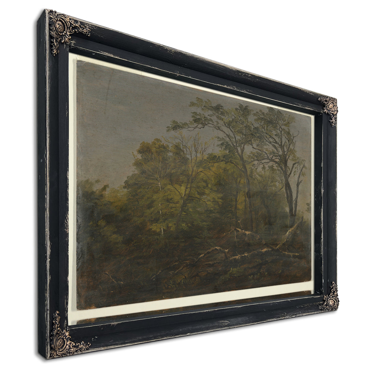 Original Files Maine Woods 1845co55 By Frederic Edwin Church