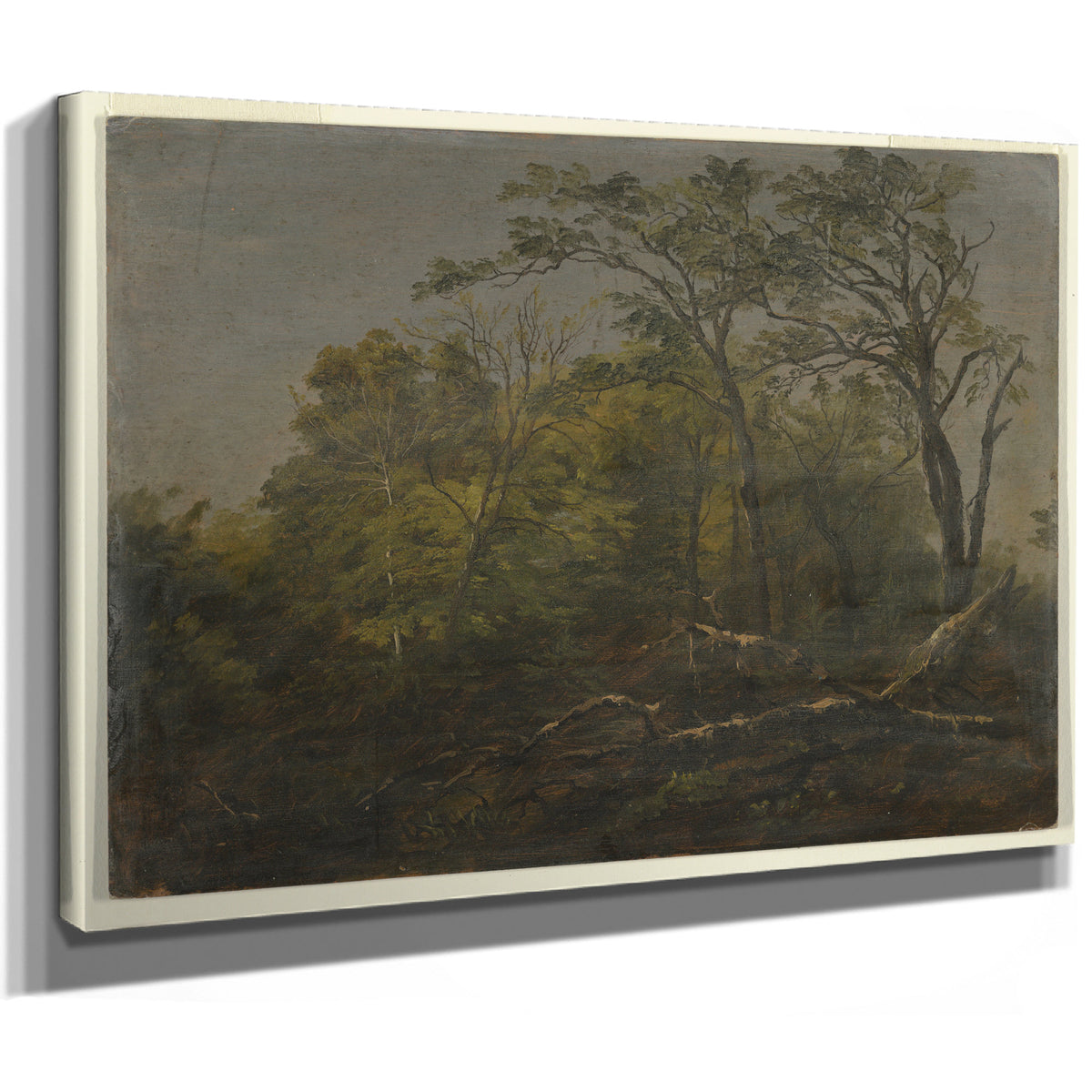 Original Files Maine Woods 1845co55 By Frederic Edwin Church