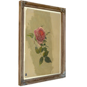 Original Files Rose Bough 1860co70 By Frederic Edwin Church