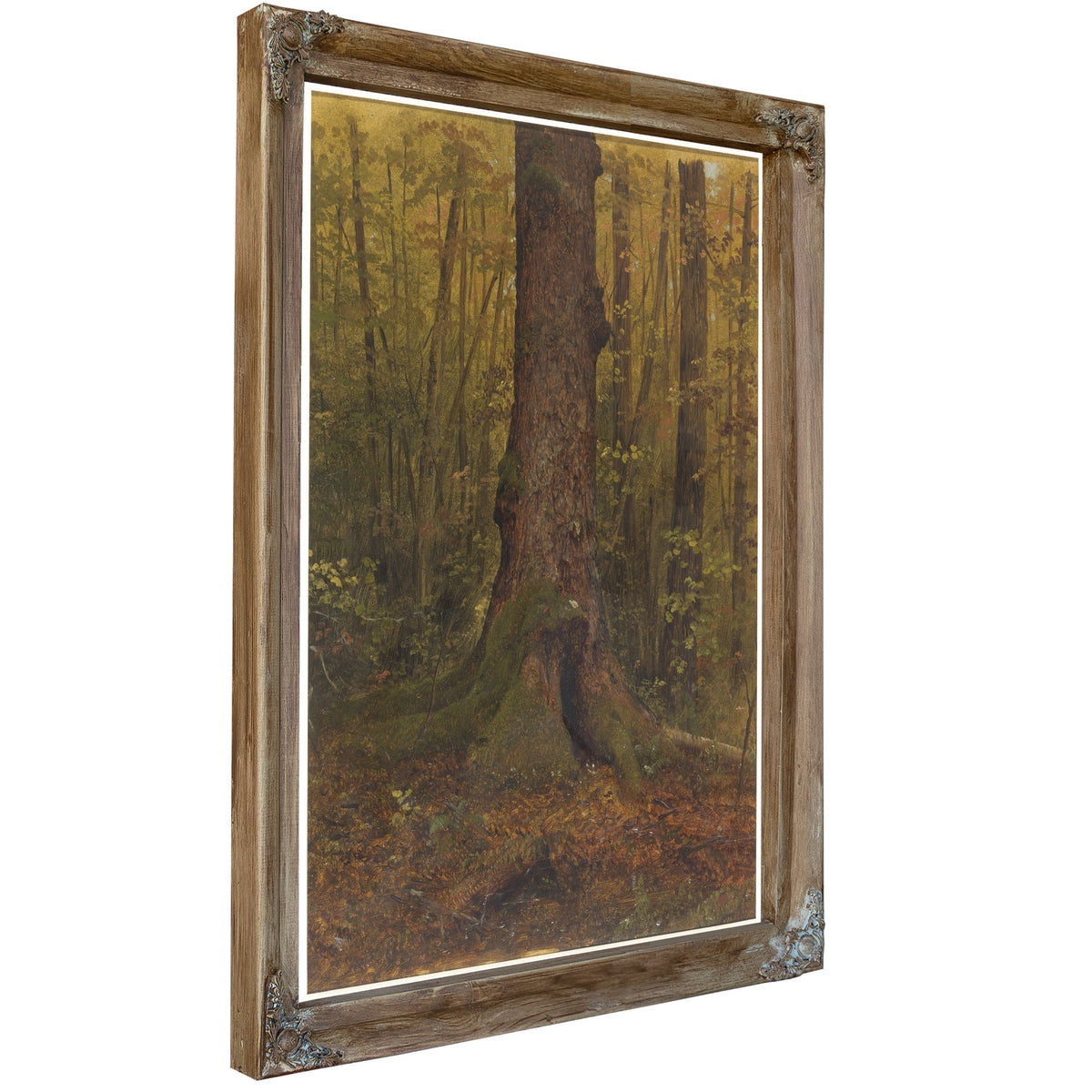 Original Files the Woods Probably By Frederic Edwin Church