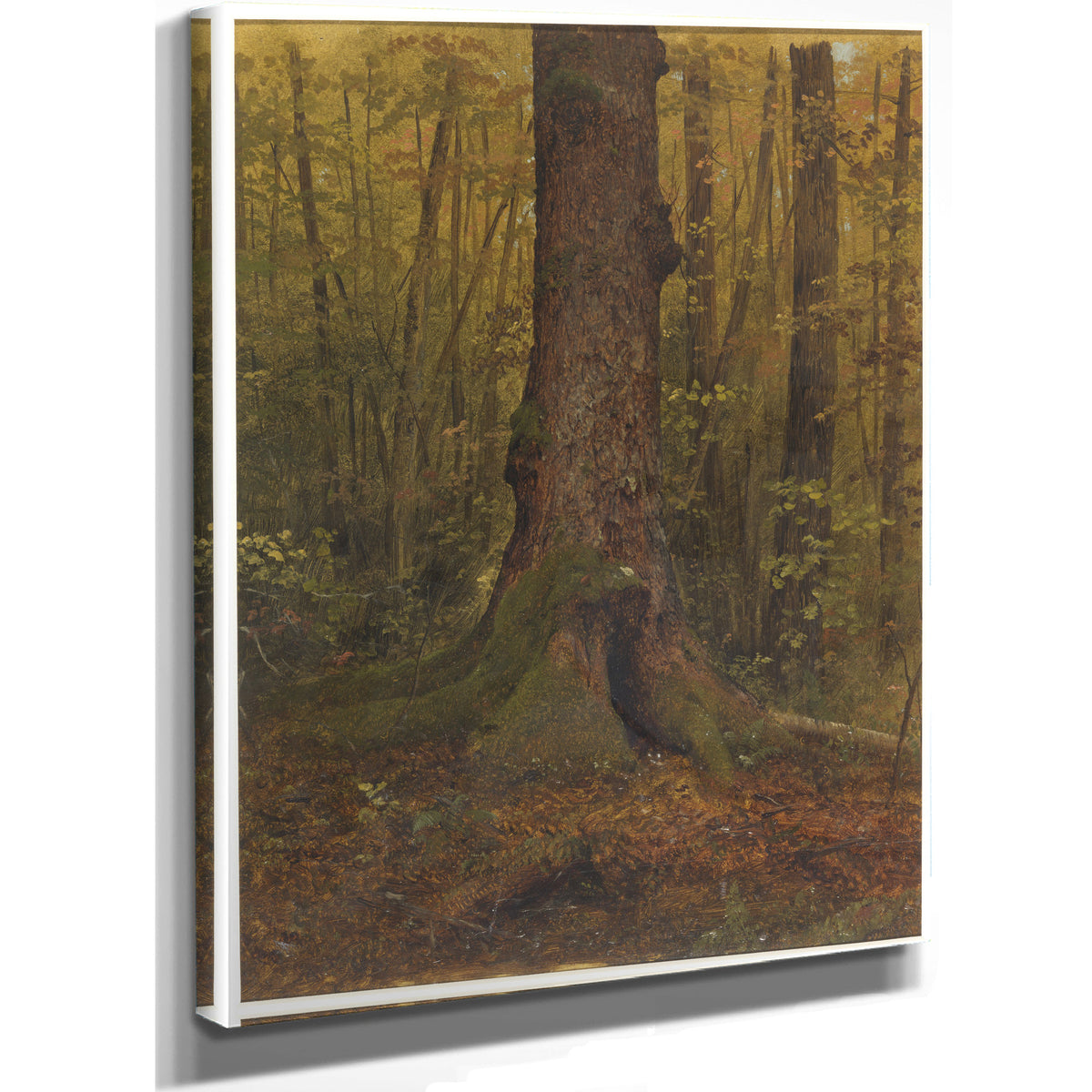 Original Files the Woods Probably By Frederic Edwin Church