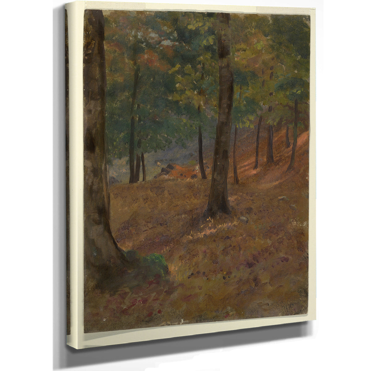 Original Files Woodland Scene 1870co80 By Frederic Edwin Church