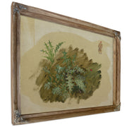 Plant 02 By Frederic Edwin Church