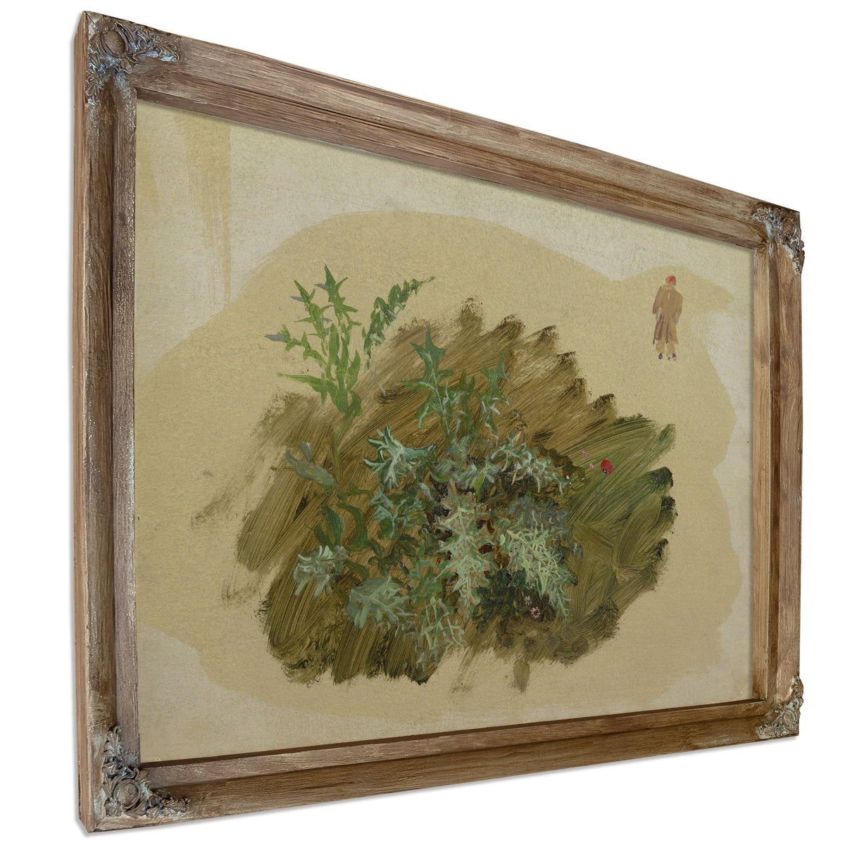 Plant 02 By Frederic Edwin Church
