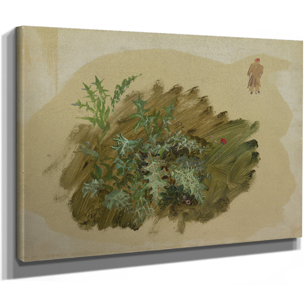 Plant 02 By Frederic Edwin Church