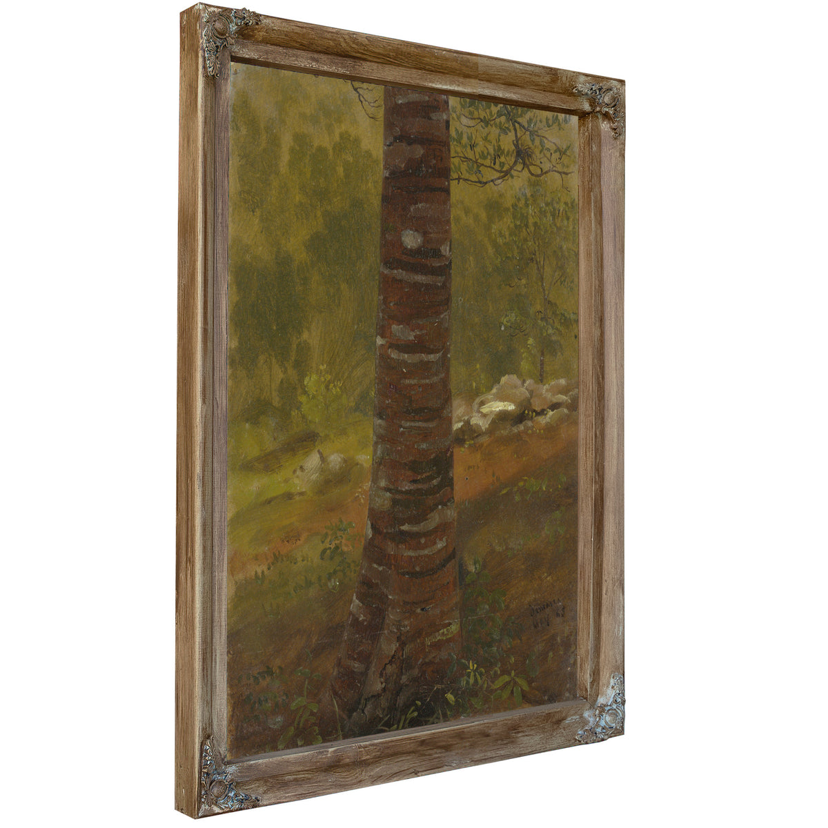 Tree 02 By Frederic Edwin Church