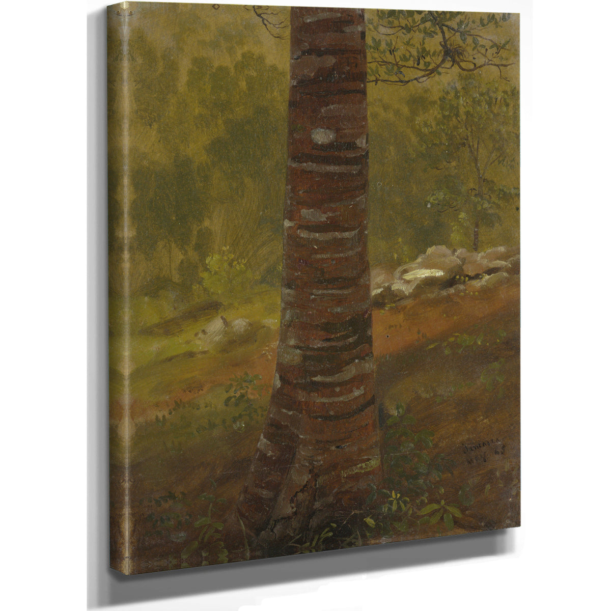 Tree 02 By Frederic Edwin Church