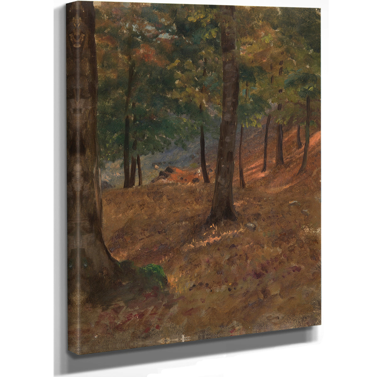 Woodland Scene 187080 By Frederic Edwin Church