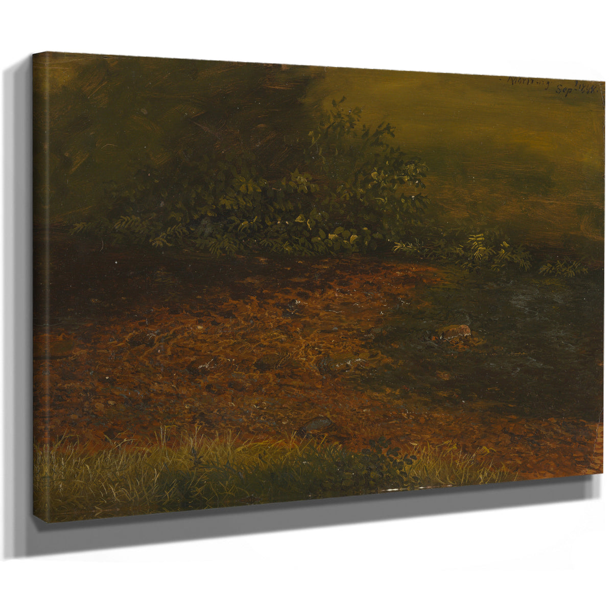 Woodland Stream the Catskills 1848 By Frederic Edwin Church