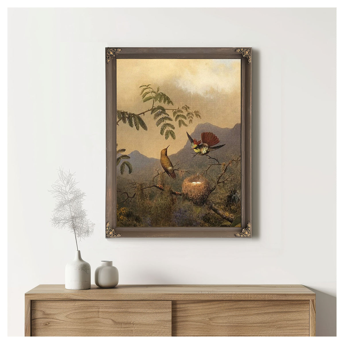Frilled Coquette By Martin Johnson Heade