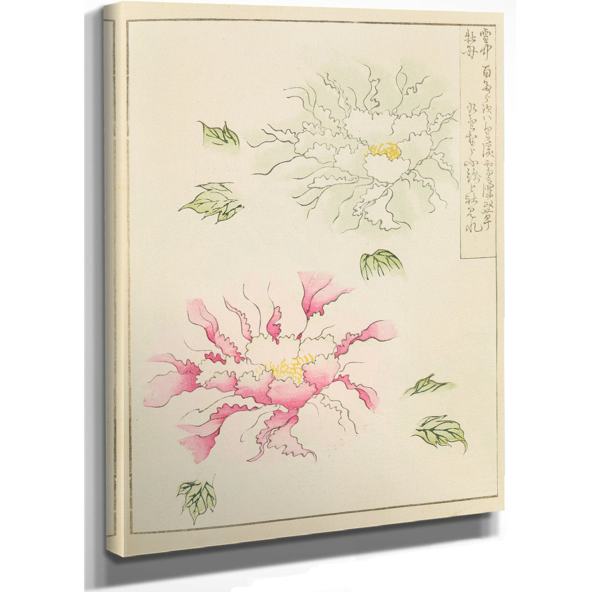 Shin Bijutsukai Plate 172 By Furuya Korin
