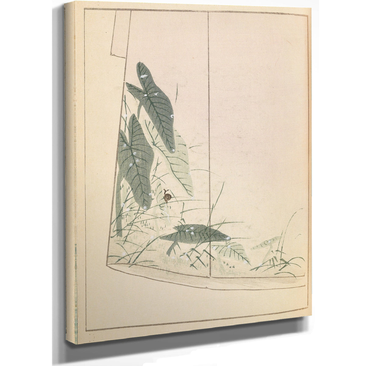 Shin Bijutsukai Plate 337 By Furuya Korin