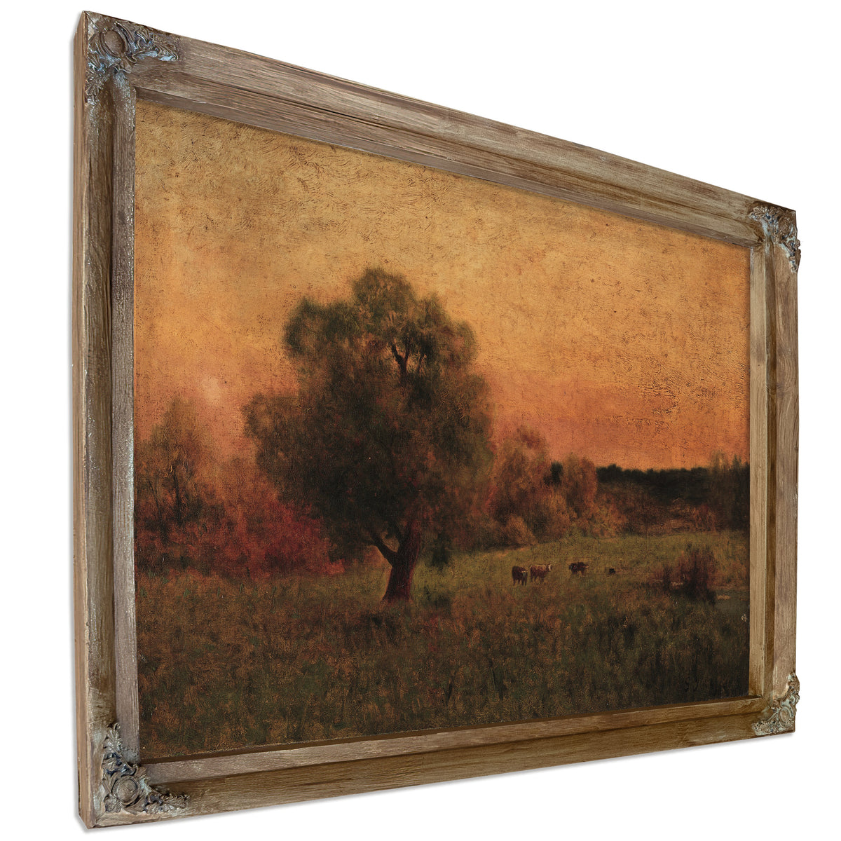 Cows a Field Before 1956 By George Inness