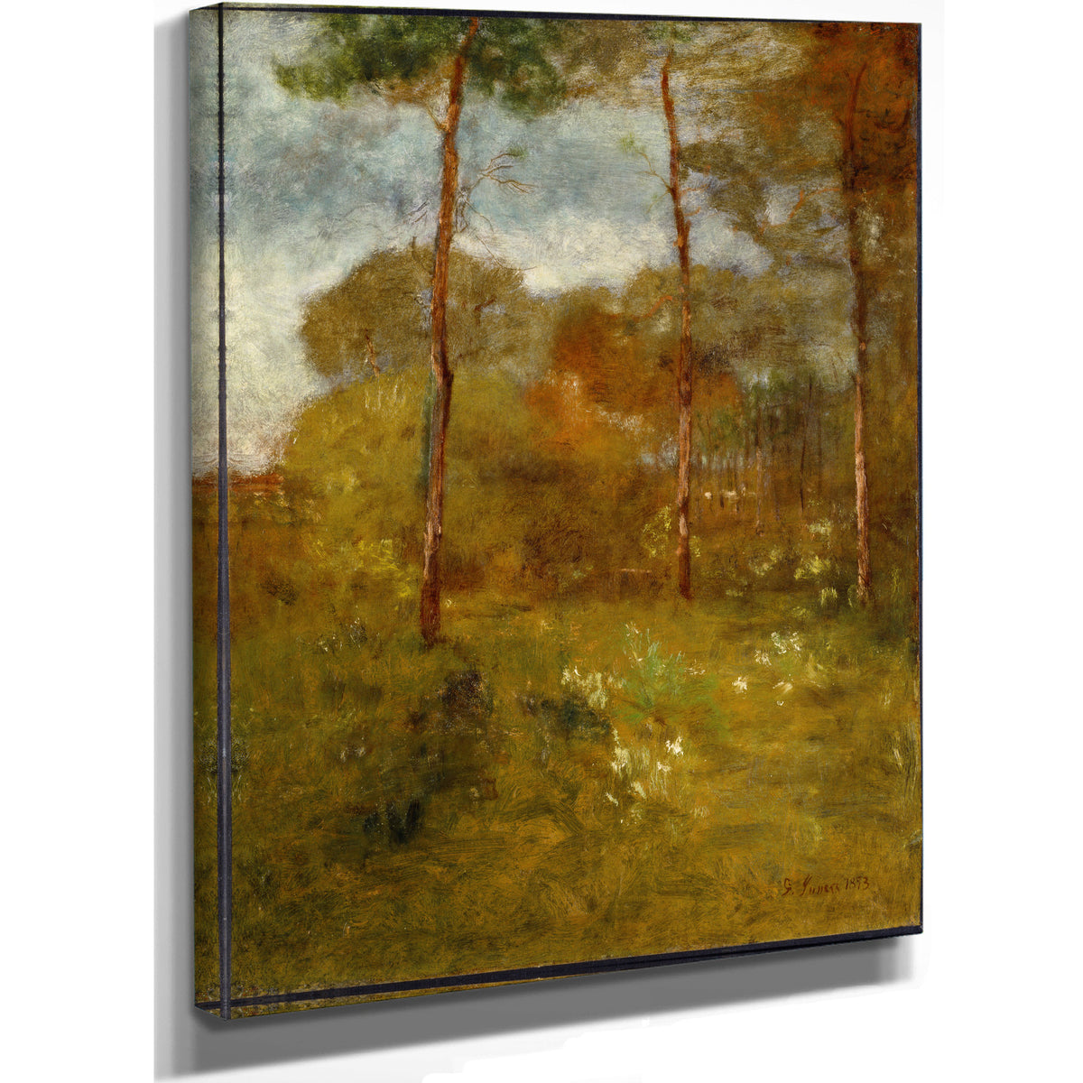 Orange Road Tarpon Springs 1893 By George Inness