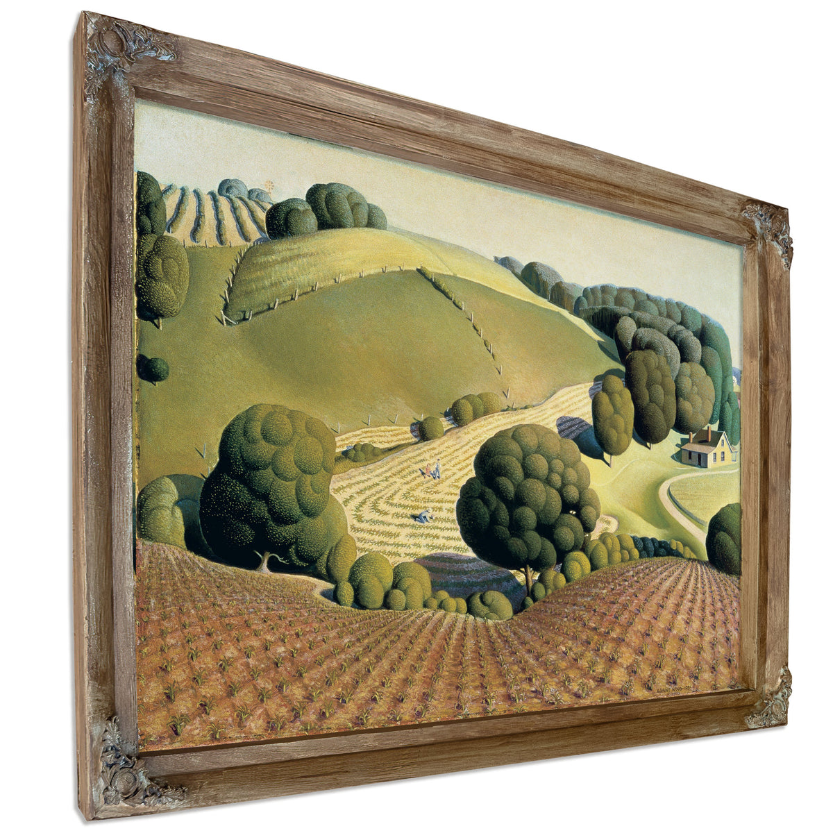 Young Corn 1931 By Grant Wood